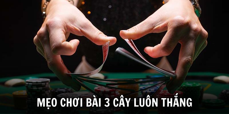 Mẹo chơi bài 3 cây dành cho người mới