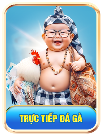 TRỰC TIẾP ĐÁ GÀ