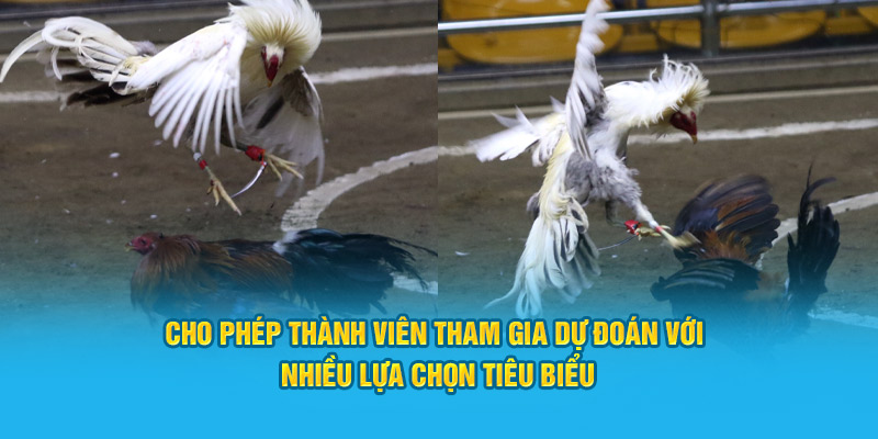 Cho phép thành viên tham gia dự đoán với nhiều lựa chọn tiêu biểu