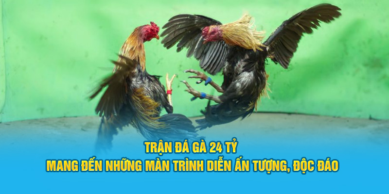 Trận đá gà 24 tỷ mang đến những màn trình diễn ấn tượng, độc đáo