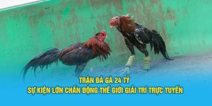 Trận Đá Gà 24 Tỷ - Sự Kiện Lớn Chấn Động Thế Giới Giải Trí